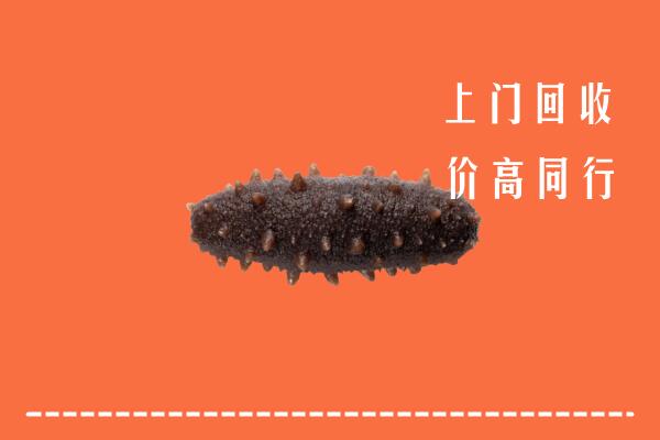 宜春靖安回收海参