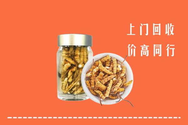 宜春靖安回收冬虫夏草